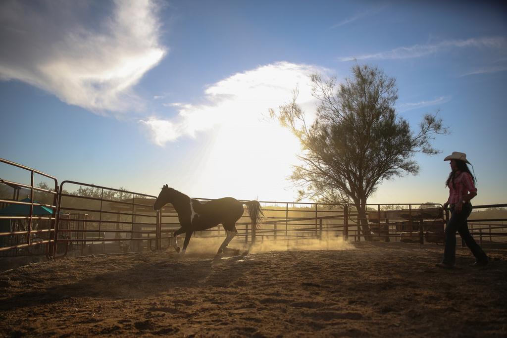 Tanque Verde Guest Ranch Tucson Buitenkant foto