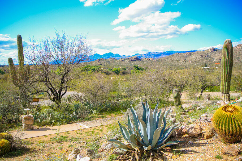 Tanque Verde Guest Ranch Tucson Buitenkant foto